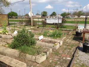 NewOrleans-Guerrilla4